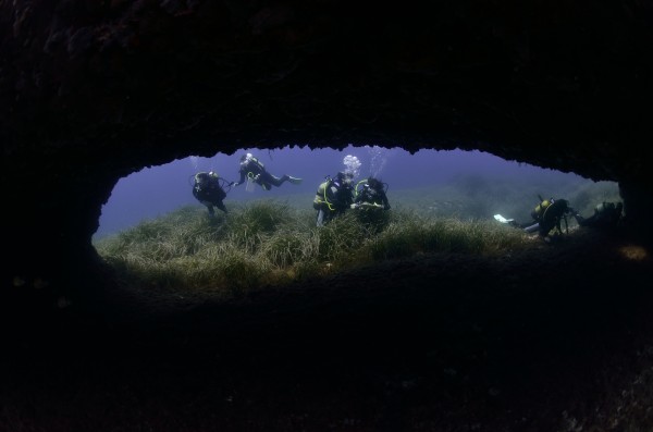 Divers exploring undersea life in the Freus Marine Reserve of Ibiza and Formente