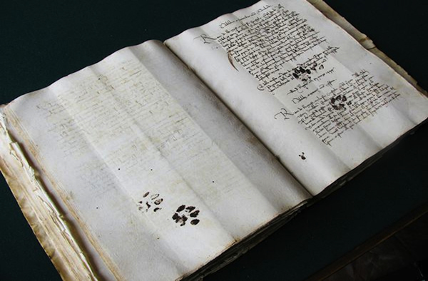 Cat Paw Prints Found on 15th-Century Manuscript