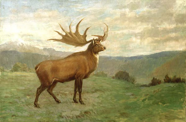 Irish Elk