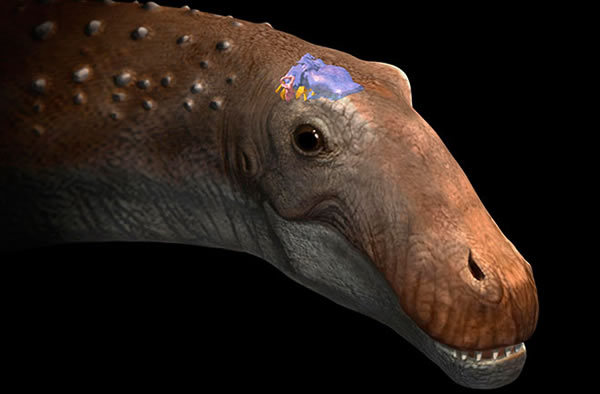 Dinosaur