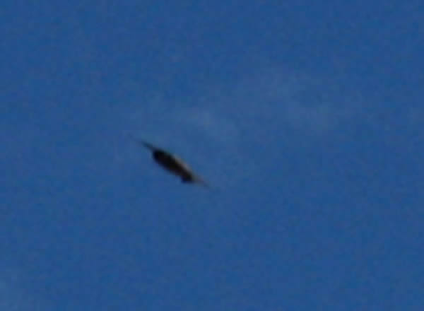 澳洲达尔文地区出现的UFO