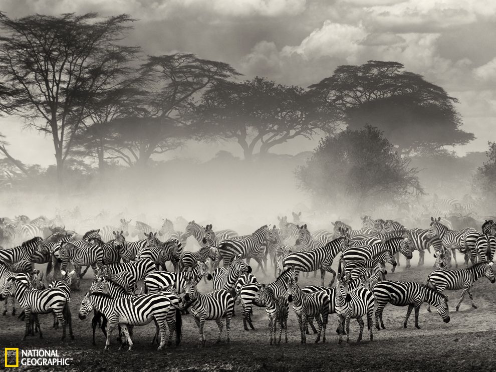 ̹ɣ�������׸ǵٲ�ԭ����Ⱥ�ȴ��ɺ�