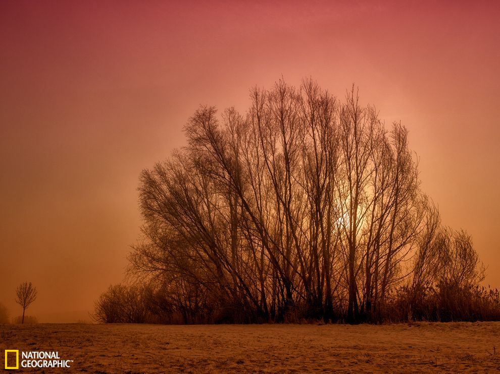 �¹�С������������