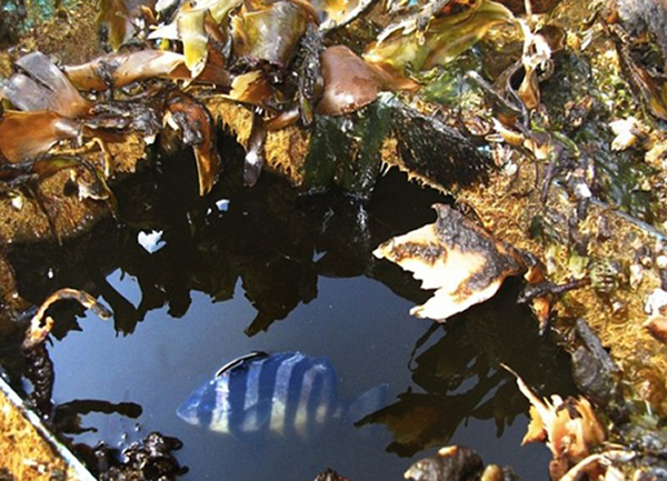 һ�ұ���Х����Ʈ���������ձ��洬�Ϸ���5���Ҵ����