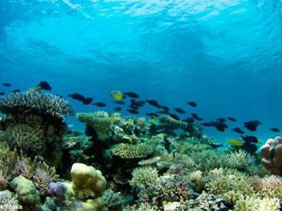 远古人类曾经见过活着的恐龙? - 神秘的地球 科