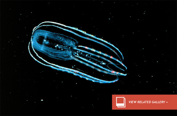 Intraterrestrials: Mars Life May Hide Deep Below