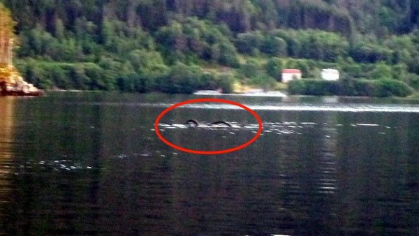 挪威“塞尔玛湖怪”现身
