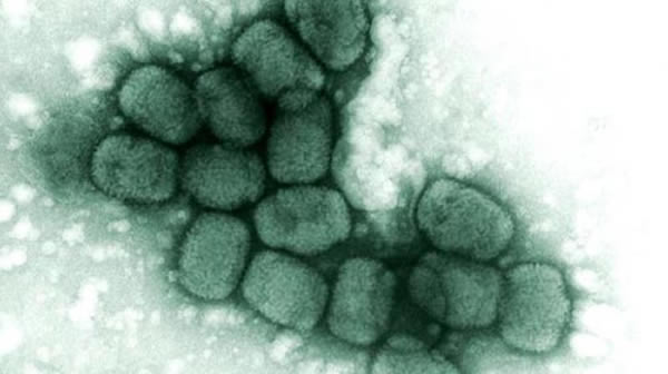 ﶻܹ֮䴫Ϊһɱʹ÷ǳֲ