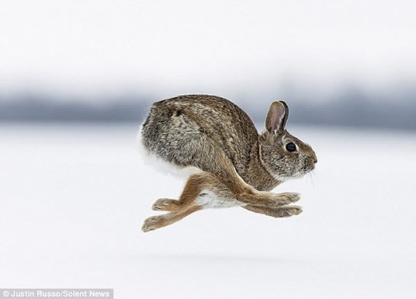 ���ô�����ѩ�б���