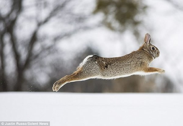 ���ô�����ѩ�б���