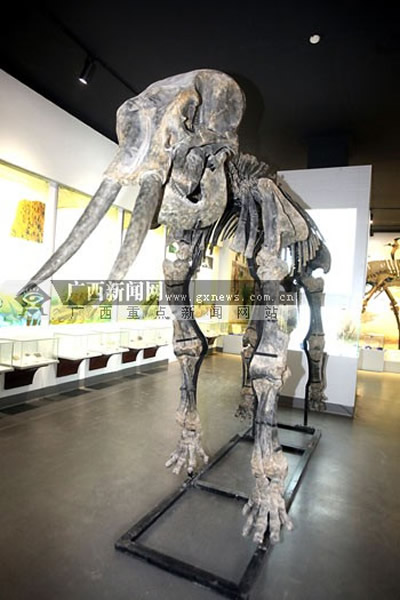 �����ֱ���Ѩ�﷢�ֵ�������ʯģ�͸������