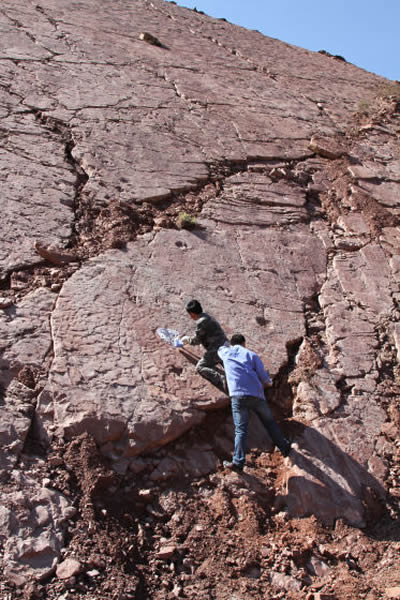 考察队员在化石点考察