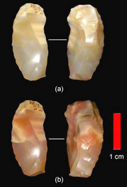 ʵʯ걾ȴǰԱȣ(a)ȴǰ(b)ȴ󡣣ͼ