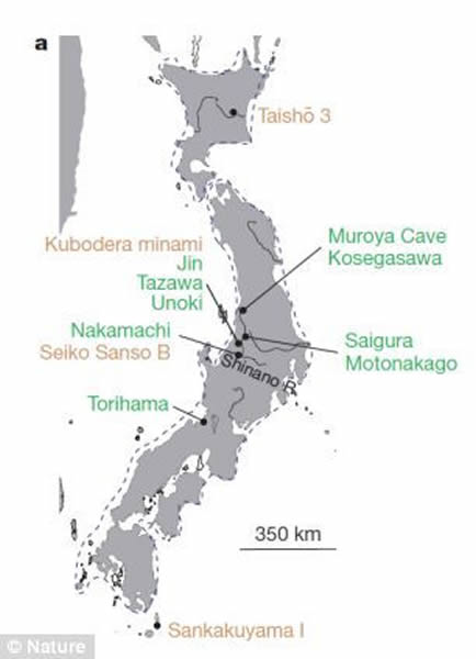 研究人员对从日本各地搜集到的各种各样的陶器进行研究