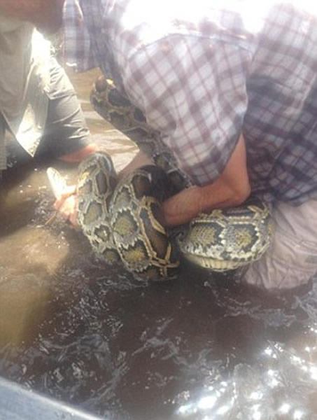 �������ᵼ������ش�ս3�׳�����