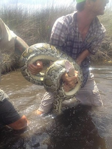 �������ᵼ������ش�ս3�׳�����