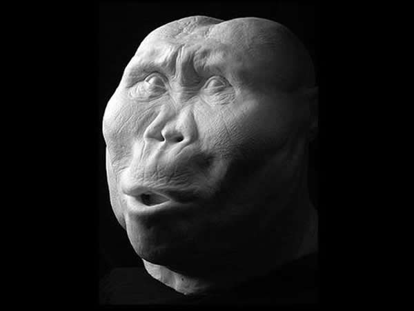 Paranthropus boisei