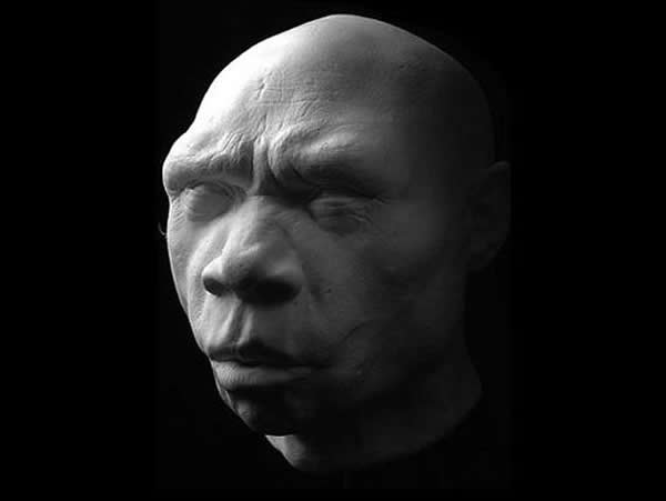 Homo heidelbergensis