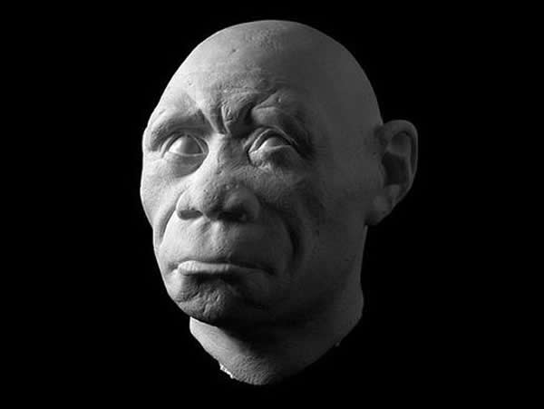 Homo floresiensis