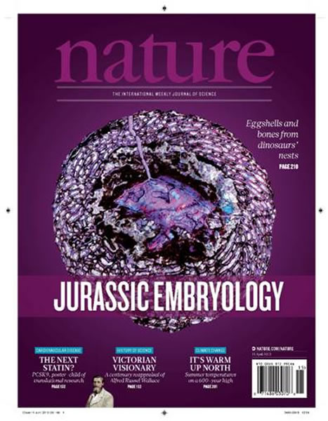 Nature杂志封面文章「全球最古老恐龙胚胎骨床含有机残留物」