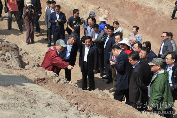 新疆吐鲁番鄯善县发现我国最大的侏罗纪恐龙化石