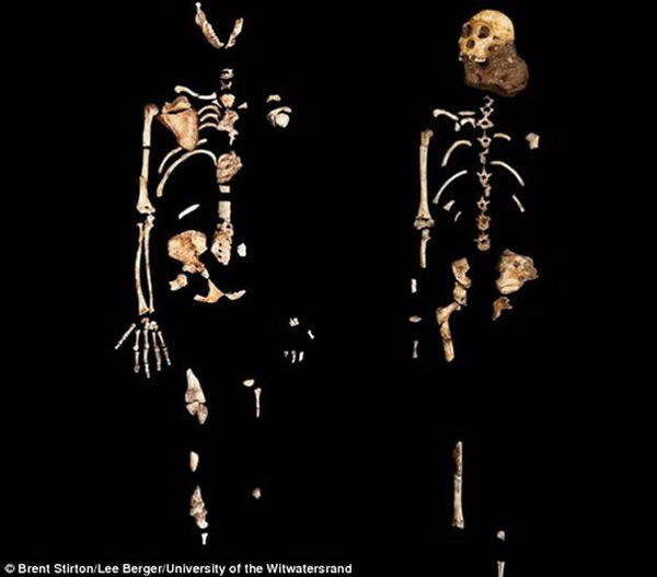 ��ѧ�����ݲ���ԴȪ���Ϸ���Գ������ʯ�������ǳ��š��ڰ��ֽš�