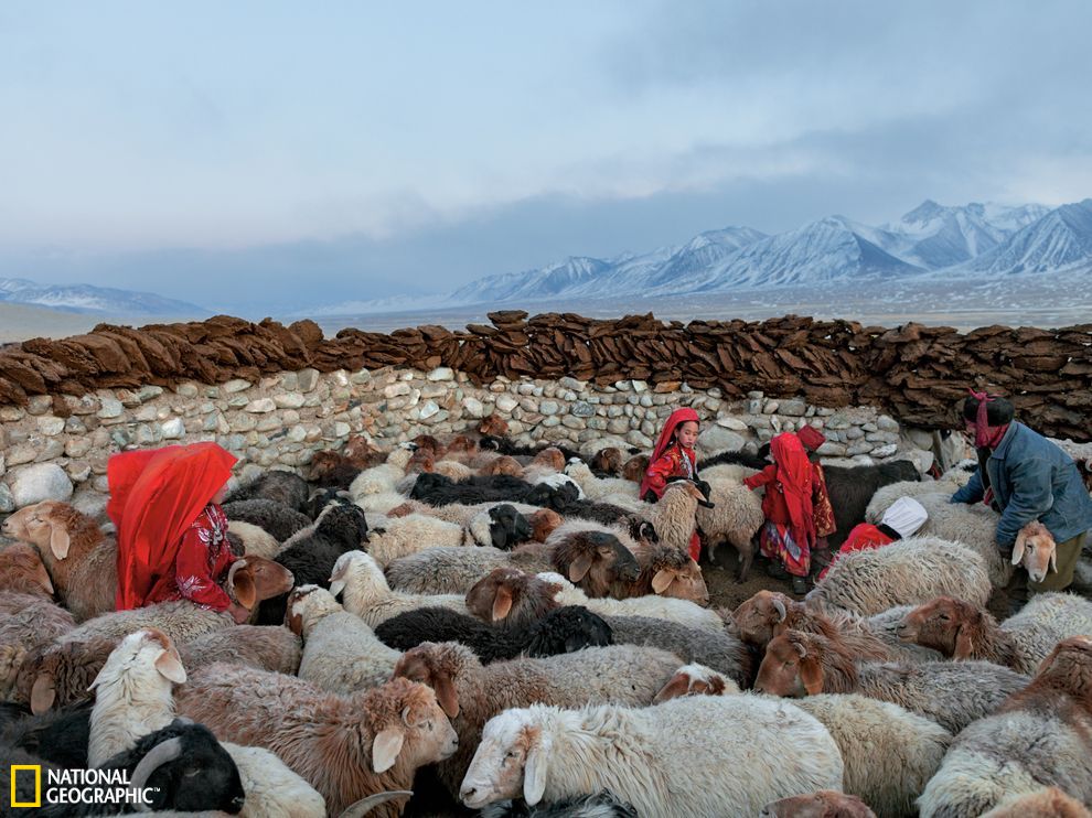 ����������Ⱥ