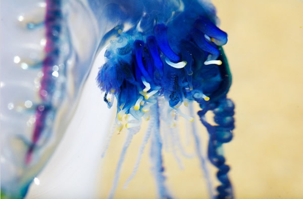 ����ˮĸ��������ս��������������