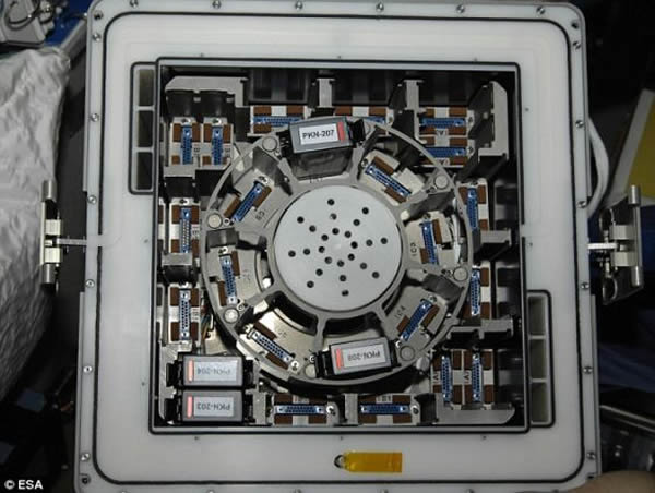 ����ϸ����Ƭ�ǽ���ŷ�޺���ֵġ���ȿˡ�����������ġ�������һ��С�����Ļ�������ģ���������