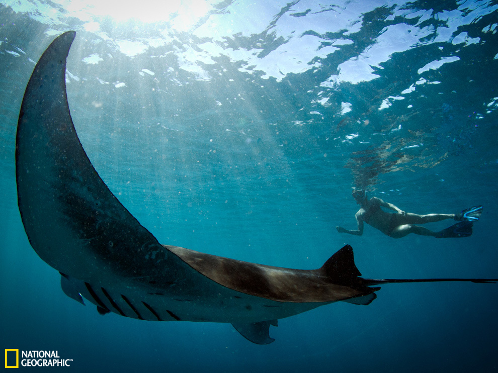 �Ĵ�����������ɺ������������