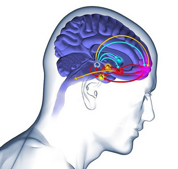 ������Ƽ���ʷ�����Ǳ������нϸߵĶ�Ͱ�ָ��