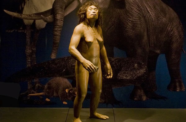 ecreation of a hobbit human next to a stork and elephant relative also known fro