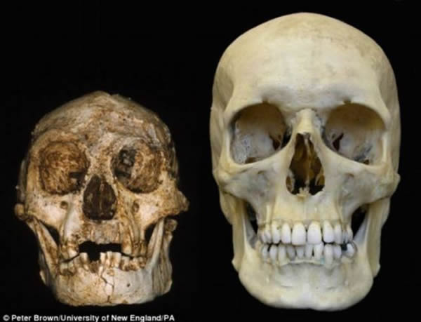 �����˵�­��(��)���Ա���һ���ִ�����­��