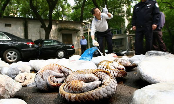 4��16�գ�ʡɭ�ֹ�������չʾ�ɻ�����ơ���ɽ�׵����