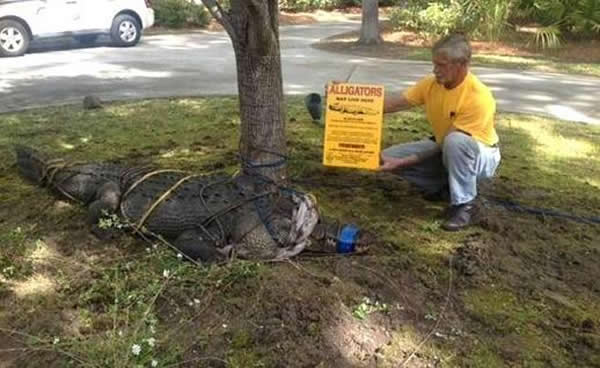 ����һ����ͥ��ǰ����12Ӣ�߳�������