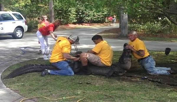 ����һ����ͥ��ǰ����12Ӣ�߳�������