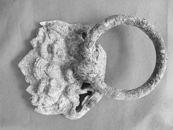 ��Ĺ�����������̽�ͭ����