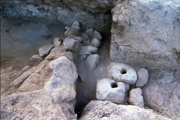 øۿַλں캣ʿ112ӢԼ180