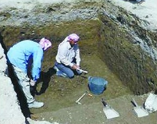 �������ϲ��ڶ��ųǸ����ھ��������4000��ǰ�����ۺϽ���