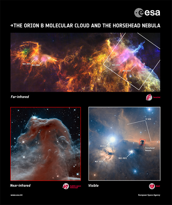 This composite image by the Hubble and Herschel space telescopes shows the Orion