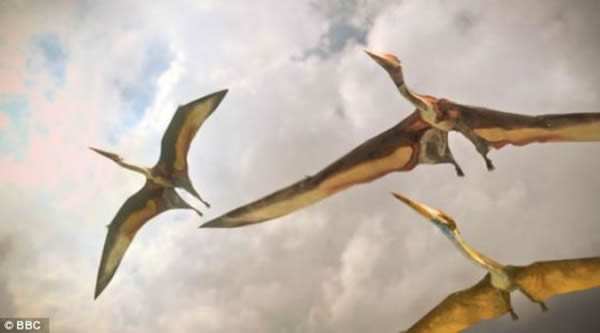 美国科罗拉多州的研究人员认为,这些因素导致地球上大约80%的生命达到100%的消亡率