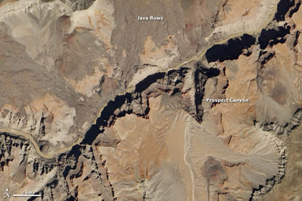 ������Ƭչʾ�������������Ͽ��