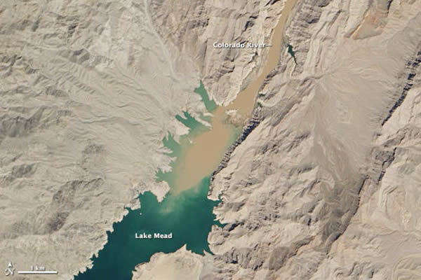 ������Ƭչʾ�������������Ͽ��