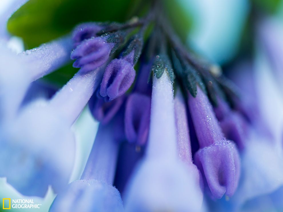 ��������������Ϸ�����