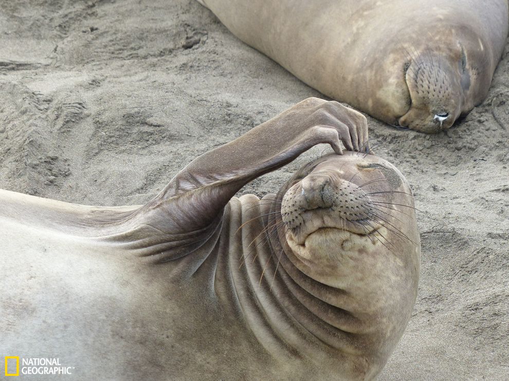 �������ݺ�̲�ϵĺ���