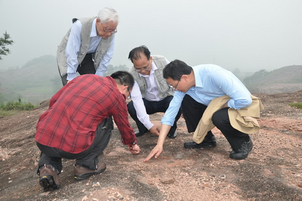 考察原地埋藏恐龙蛋化石