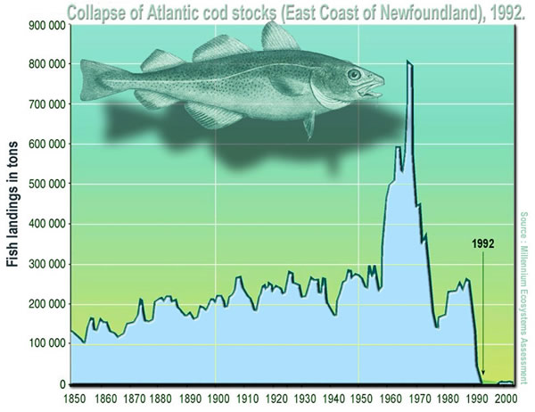 ˥�䡣��ͼ��ʾ��1992�걱���������㲶��ҵ�ı�����