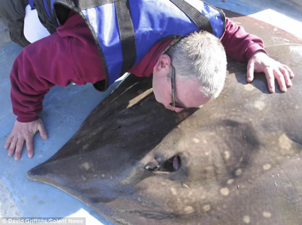 Ӣ�������߲����������