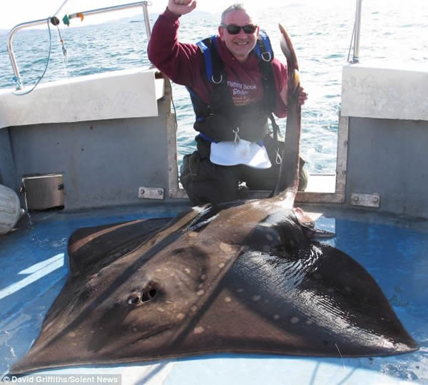 Ӣ�������߲����������