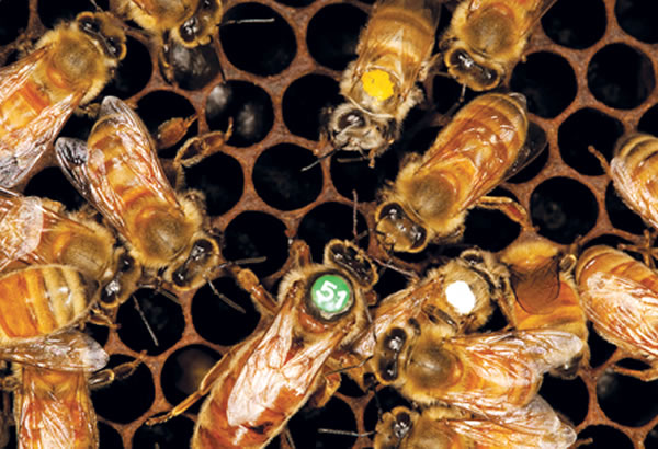 �����䳲�еĺ��������۷�����仯